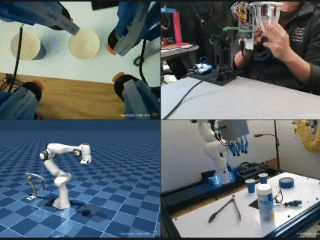 Whole-Body Control of a Dexterous Hand–Robot System